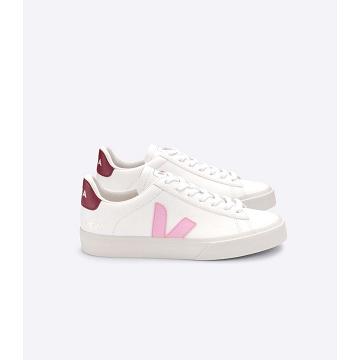 Low Tops Sneakers Veja CAMPO CHROMEFREE Męskie White/Pink | VEJA094-PL