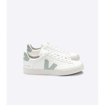 Low Tops Sneakers Veja CAMPO CHROMEFREE Męskie White/Green | VEJA097-PL