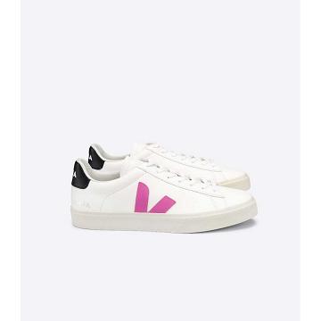 Low Tops Sneakers Veja CAMPO CHROMEFREE Damskie White/Purple | VEJA524-PL